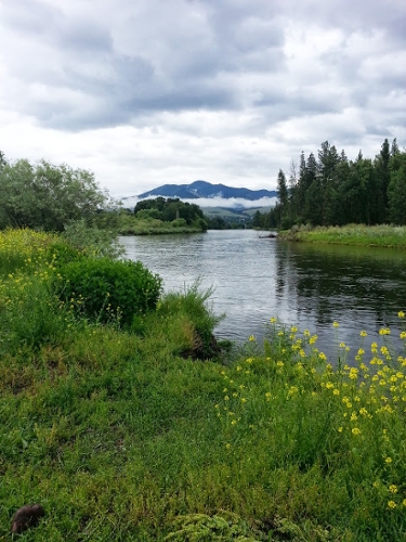 Bitterroot River